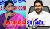 ఆస్తుల కోసం గొడవలు పెట్టుకోవాలన్న ఉద్దేశం నాకు లేదు.